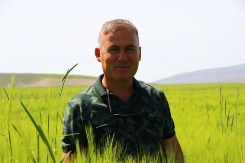 Polatlı’dan dünyaya yayılan şifa: Kuru soğan
