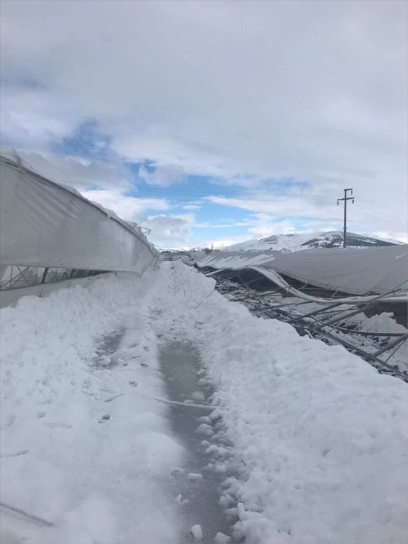 Çiçek sektörü kar nedeniyle pazar kaybından endişeli