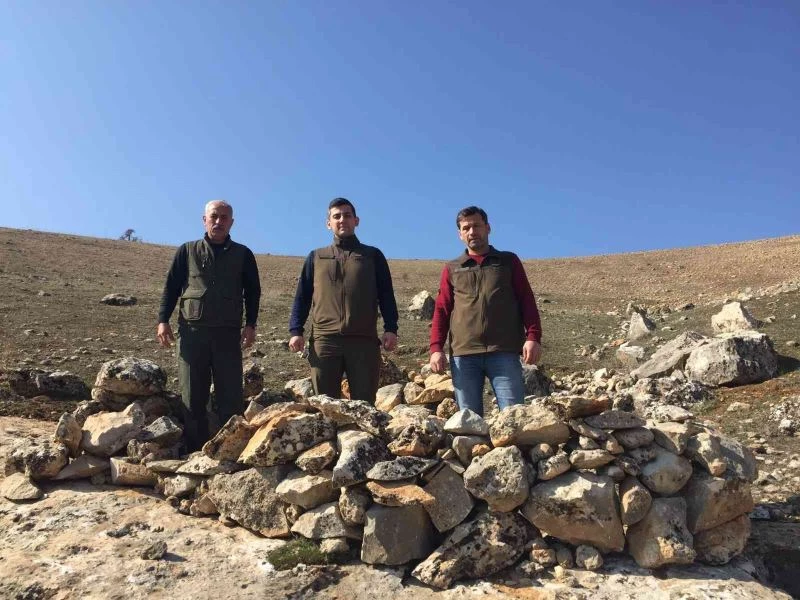 Kaçak avcıların kurduğu tuzaklar yıkıldı
