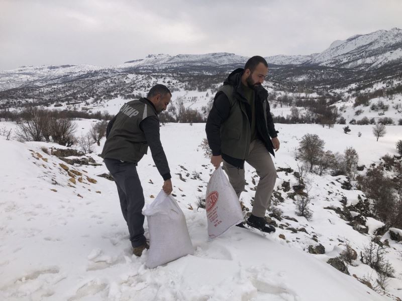 Tunceli’de yemleme ve denetim çalışmaları sürüyor
