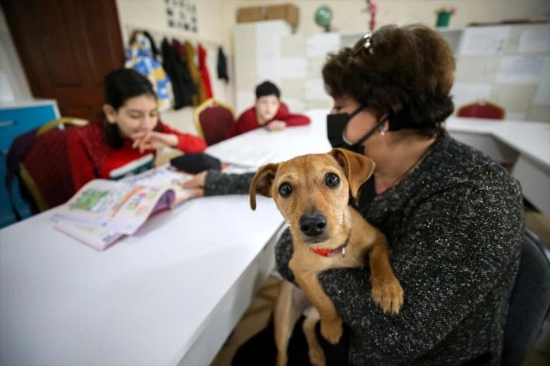 Okul müdürünün köpeği 