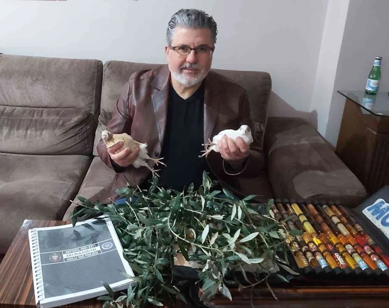 Bilimin Efeleri, uzaya gidenlerin beslenme sorununu bıldırcın yumurtalı bileşimle çözmek istiyor
