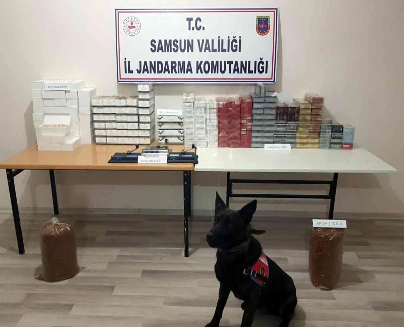 Samsun’da bin 187 paket sigara ve 16 bin dal makaron ele geçirildi
