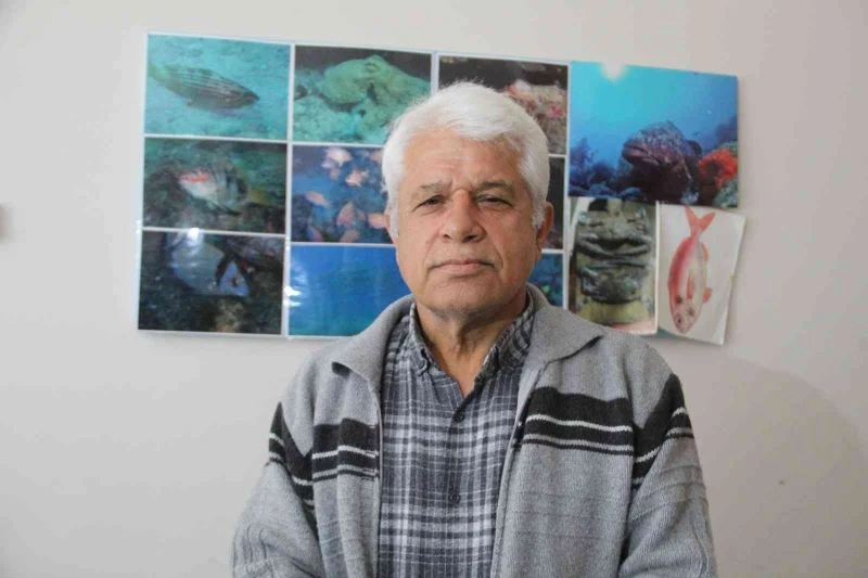 Antalya’da balıkçıların dev köpek balığı şaşkınlığı
