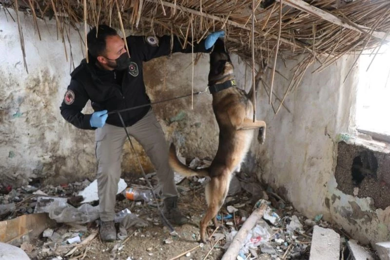Emniyetin huzur denetiminde 6 aranan şahıs yakalandı
