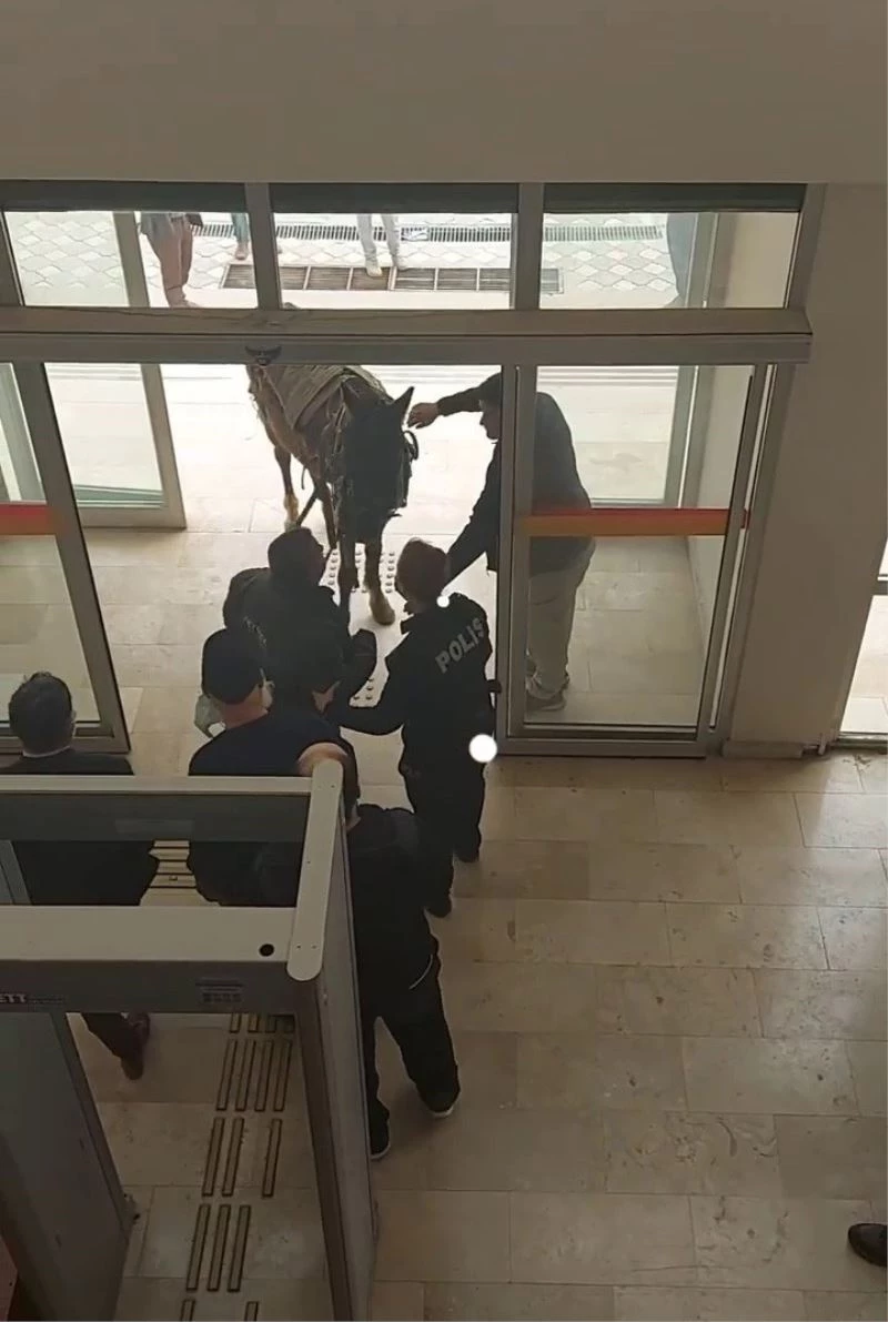 Atıyla kaymakamlık binasına girmeye çalıştı
