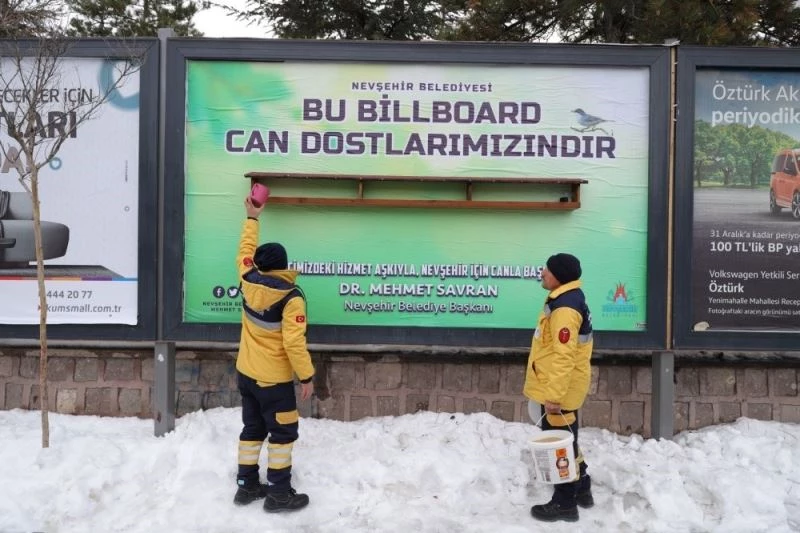 Billboardlara reklam yerine kuşlar için yemlik asıldı
