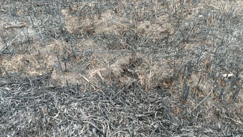 Bursa’da otluk alanda çıkan yangının izleri gün ağarınca ortaya çıktı
