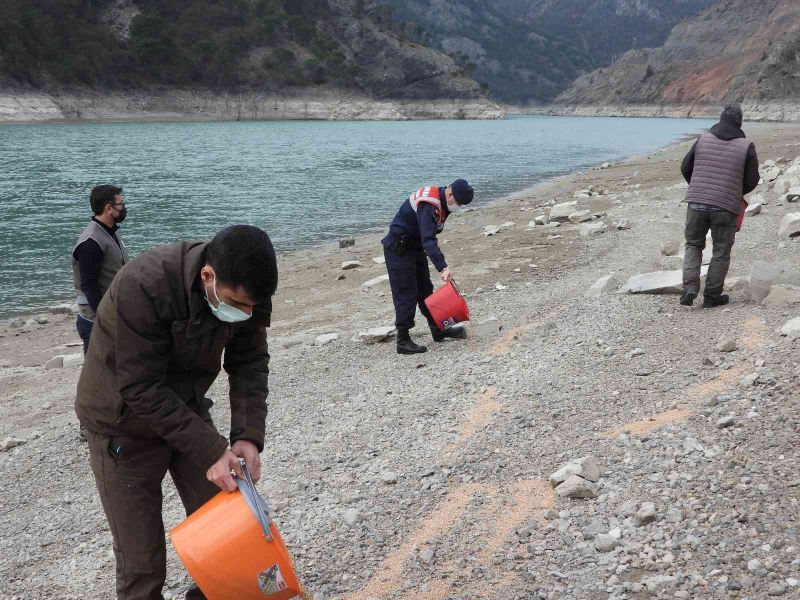 Artvin’de “2 Şubat Dünya Sulak Alanlar Günü” nedeniyle yemleme yapıldı
