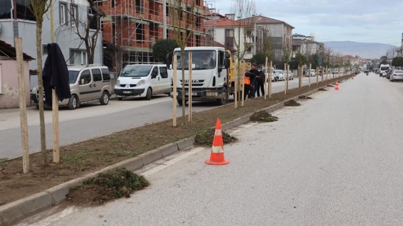 Düzce Belediyesi bin 920 ağaç dikimi yaptı
