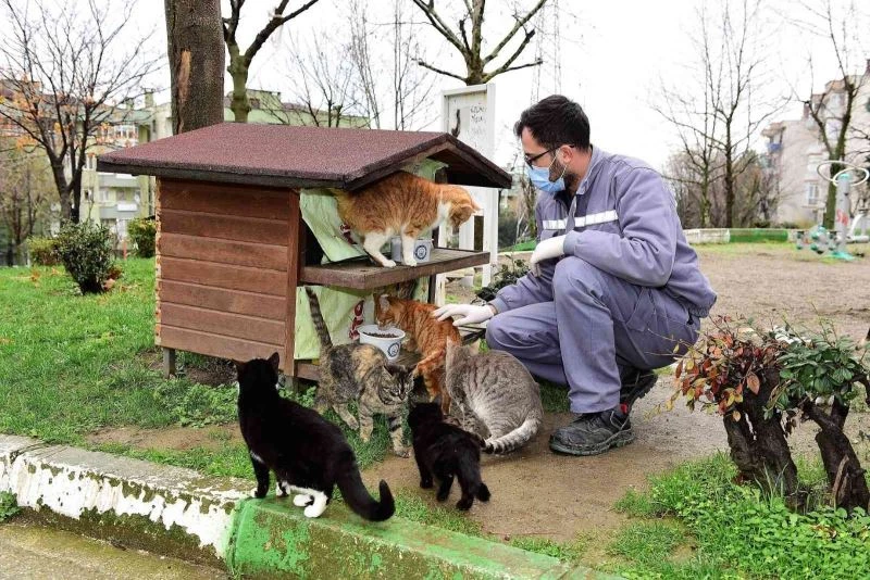 Yıldırım’dan can dostlarına şefkat eli
