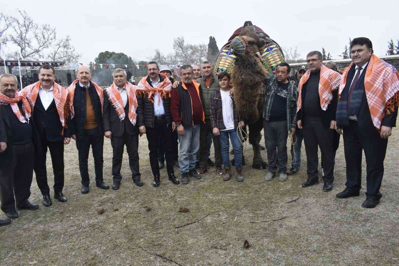 Havran’da 6. Geleneksel Folklorik Deve Gösterisi yapıldı
