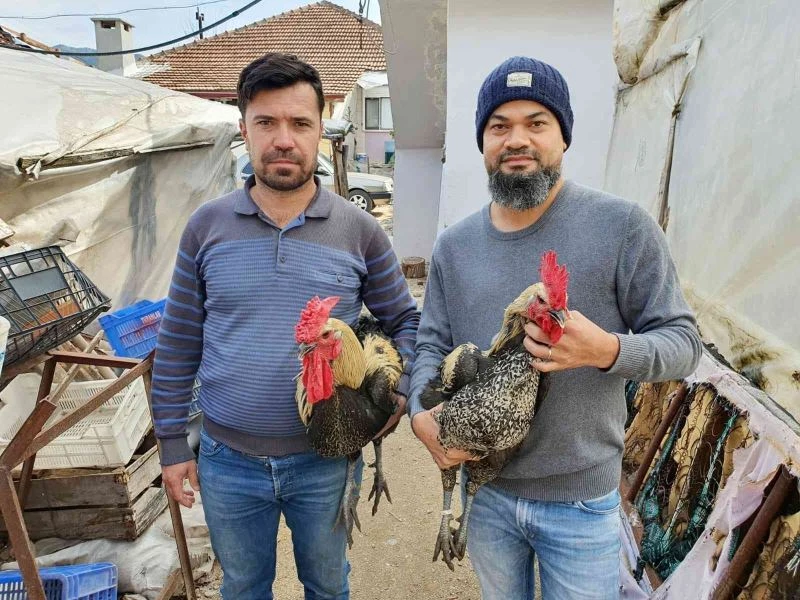 Denizli Horozu hobisinden para kazanıyor
