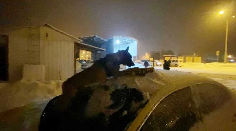 Taksinin tepe lambasını uyuşturucu zulasına çeviren 4 kişi yakalandı
