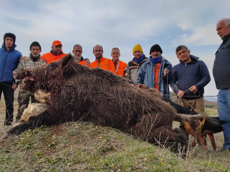 220 kiloluk domuz, avcıya saldırdı
