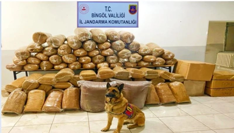 Bingöl’de 650 kilo kıyılmış tütün ele geçirildi
