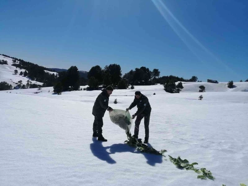 Aydın DKMP kaçak avcılara göz açtırmıyor
