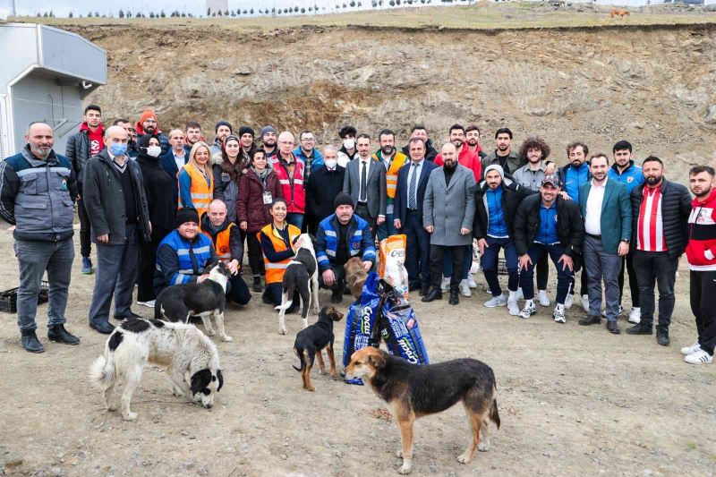 Futbol ve basketbolculardan sokak hayvanlarına destek
