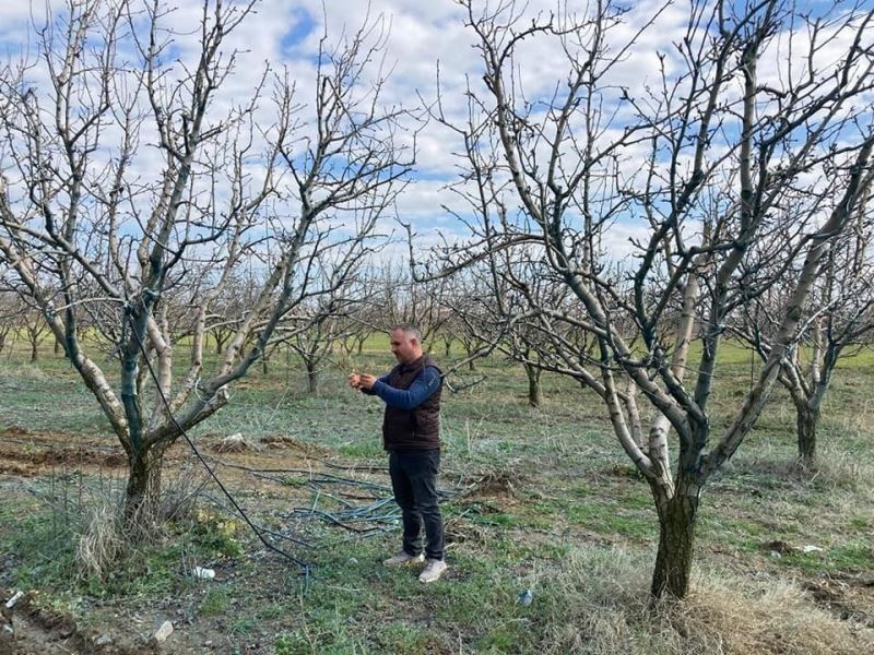 Arpa çeşitlendirme çalışmaları aralıksız sürüyor
