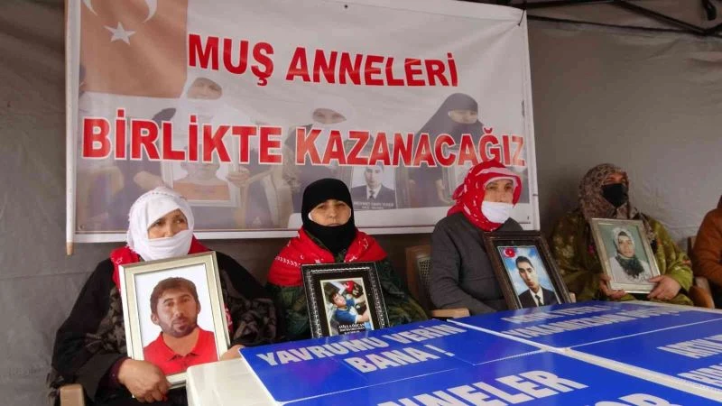 2 teröristin PKK’dan kaçarak teslim olması Muşlu anneleri sevindirdi
