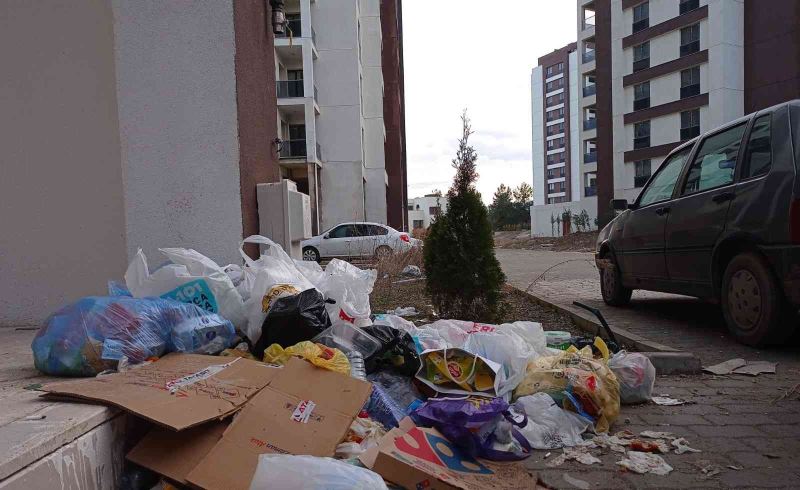 Bilecik’te 558 dairelik site içi çöplüğe döndü
