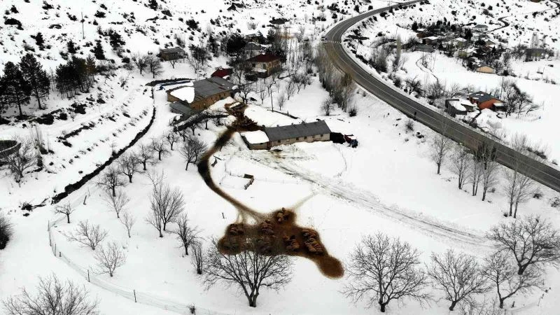 Zorlu kış şartlarında besicilerin ‘kuzu’ mesaisi
