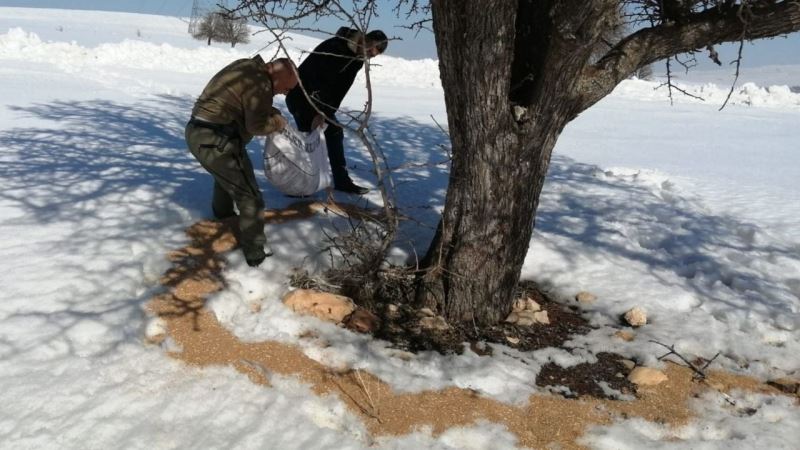 Elazığ’da yemleme çalışmaları sürüyor
