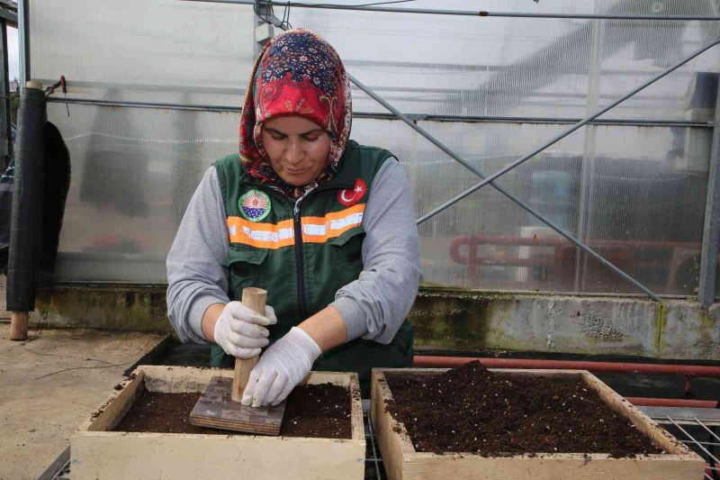 Gölbaşı Belediyesi ata tohumlarını toprakla buluşturdu
