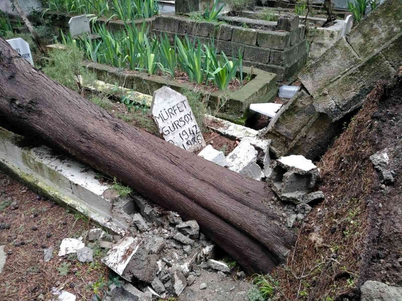 Fırtınanın kökünden söktüğü ağaçlar mezarlara zarar verdi
