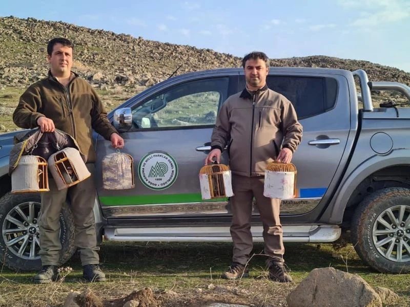 Kınalı keklik avcılarına suçüstü yakalandı
