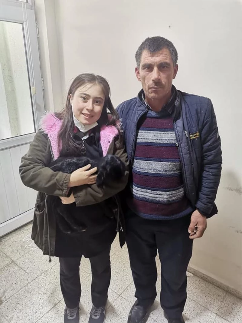 Gediz’de numune olarak alınan oğlak sağlığına kavuştu
