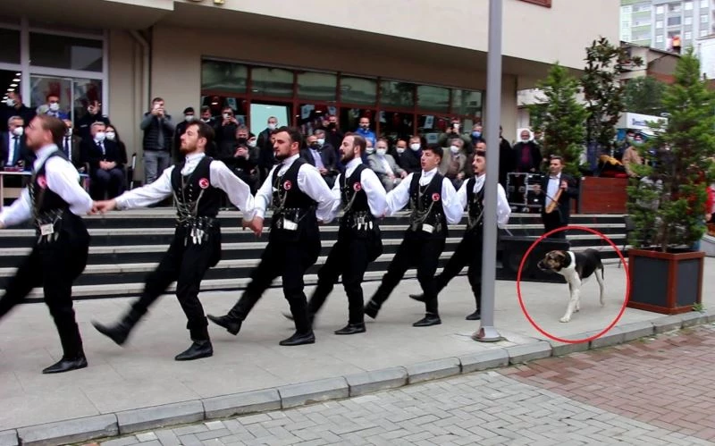 Kemençe sesini duyan köpek horon ekibinin peşine takıldı
