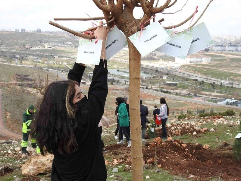 Şahinbey’de 26 bin ağaç dikilecek
