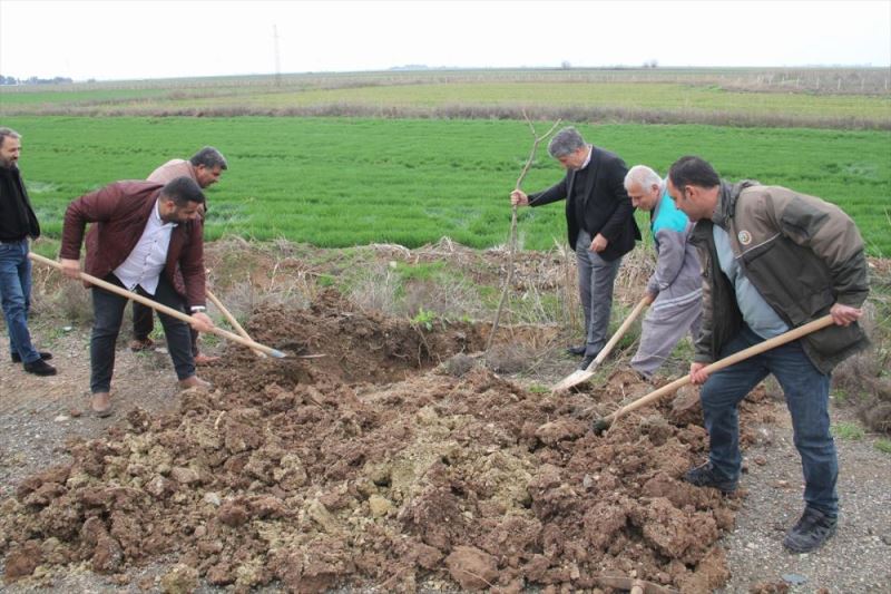 Hatay’da kara yolu kenarlarına 1000 ağaç dikildi