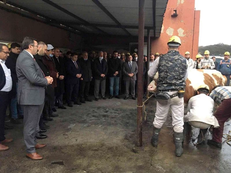 Amasra’da mekanize panoda üretime başlandı
