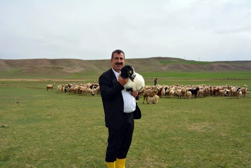 TÜDKİYEB Genel Başkanı Nihat Çelik, doğum sonrası kuzu ölümlerinin önlenmesi için yetiştiricilere uyarılarda bulundu
