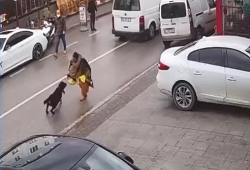 Kocaeli’de çocuğu köpek saldırısından koruyan esnaf o anları anlattı
