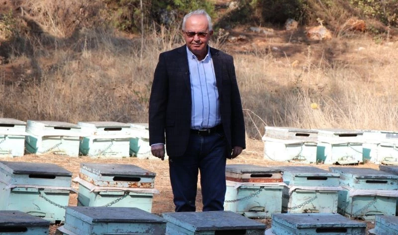 İklim krizi arıları da vurdu
