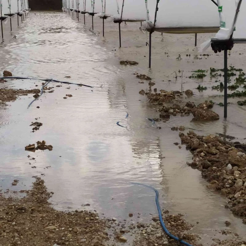 Taşan dereler, 55 dekar çilek serasını sular altında bıraktı
