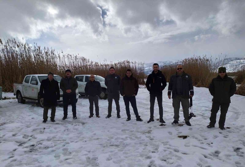 Eber Gölü’nde kuş gözlemi yapılıp, yem bırakıldı
