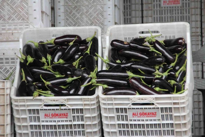 Mersin ve Adana’nın ocak ayı enflasyonu yüzde 50,61
