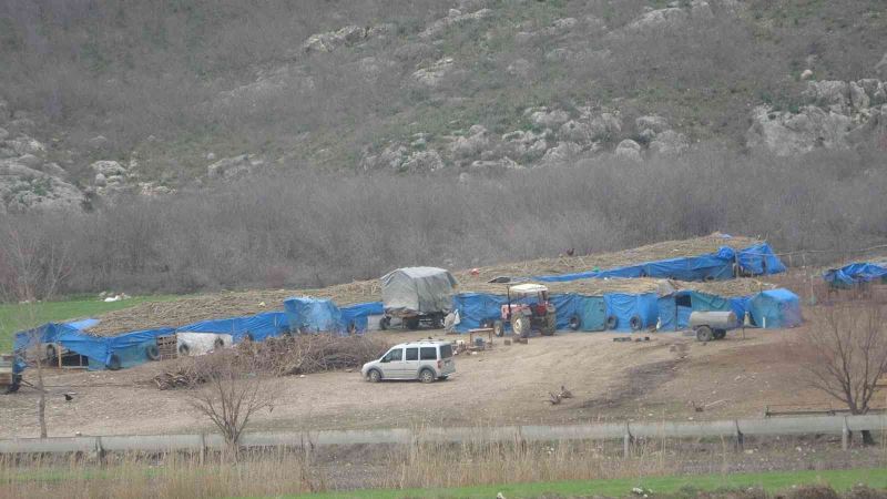 Koyunu kurtarmak isteyen çobanın feci ölümü
