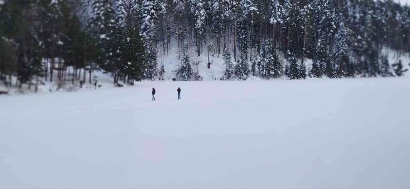 Bilecik’te bir gölet soğuktan tamamen dondu

