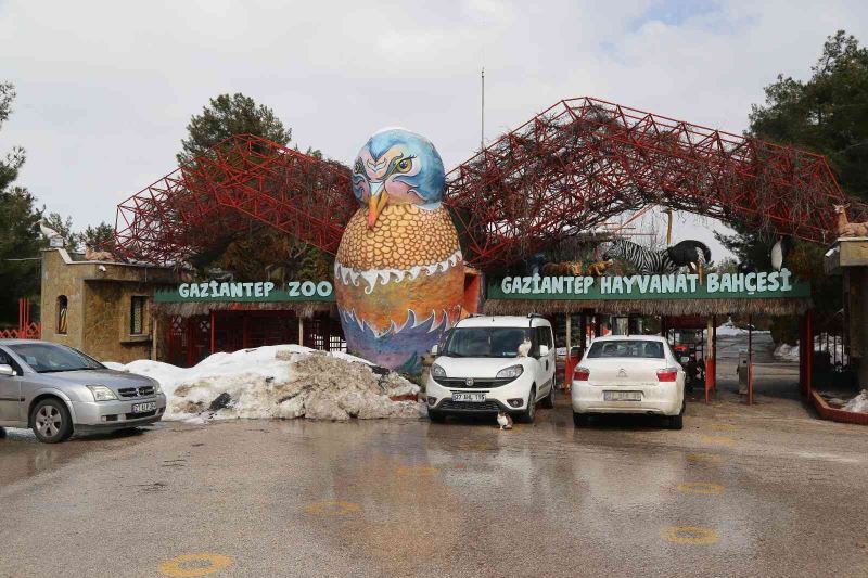 2021’de Gaziantep Hayvanat Bahçesini 2 milyon 750 bin kişi ziyaret etti
