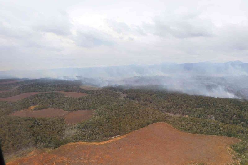 Şili’deki orman yangınında bin 235 hektarlık alan kül oldu
