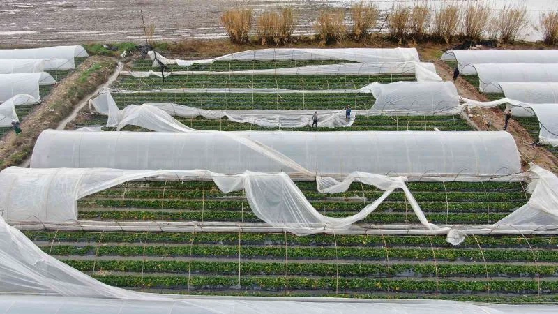 Hortumun vurduğu seralarda çitçinin hasar tamiri mesaisi başladı
