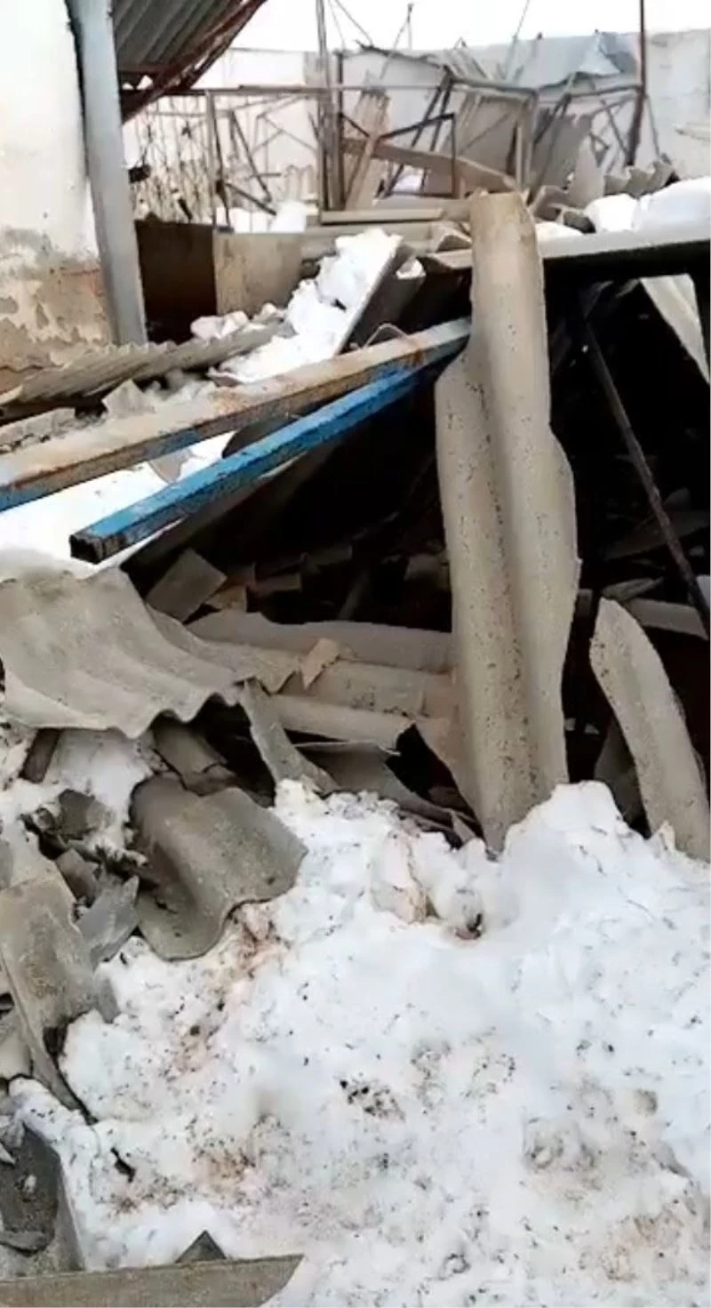 Kardan çöken deve kuşu çiftliğini nefes nefese anlattı
