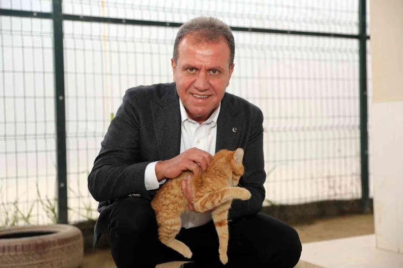 Mersin’de ocak ayında 101 tehlike arz eden ırk hayvan barınağa teslim edildi
