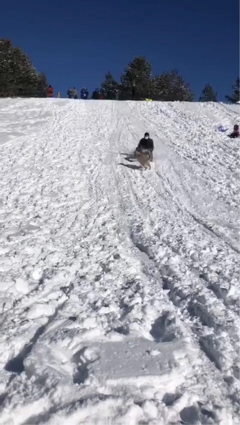 Kızağıyla köpeğe çarpmaktan son anda kurtuldu
