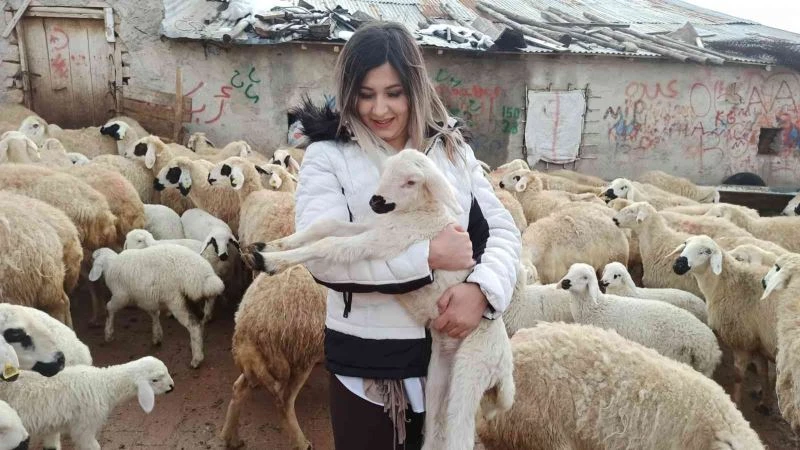 Baharın müjdecisi kuzu doğumları başladı
